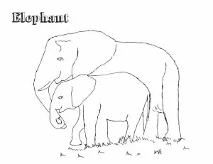 Ausmalbilder Elefant Mandala