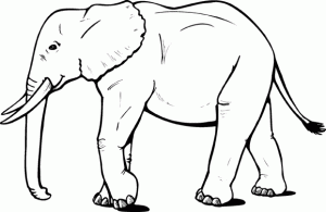 Ausmalbilder Elefant Zum Ausdrucken