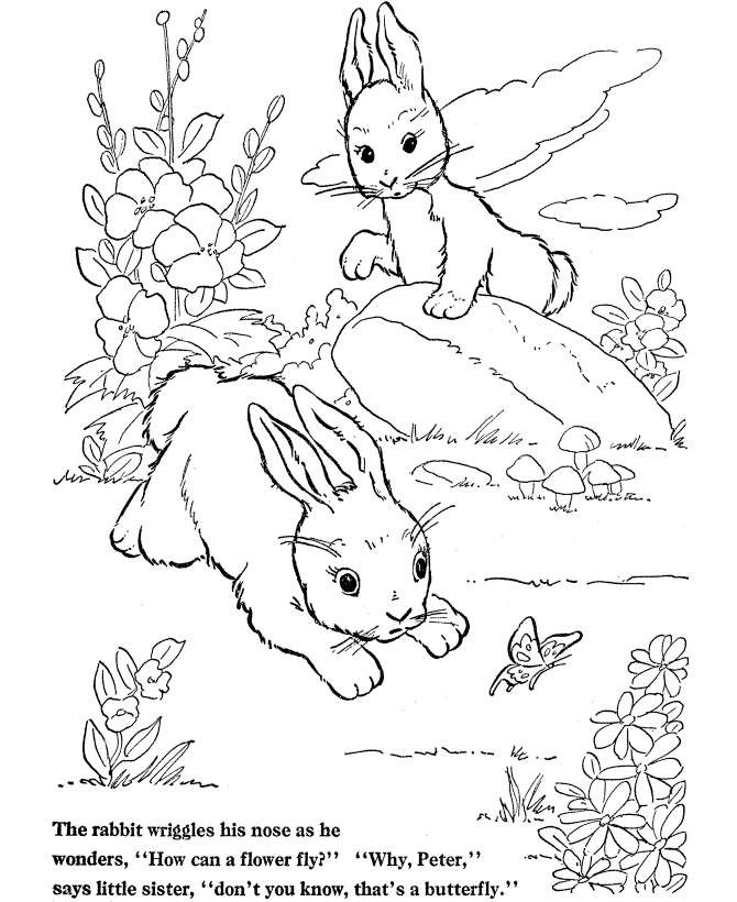 Ausmalbilder Erwachsene Kaninchen