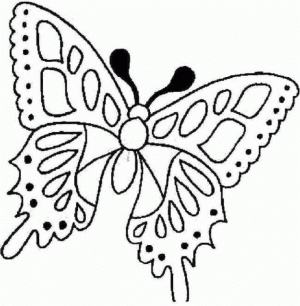 Ausmalbilder Erwachsene Schmetterling