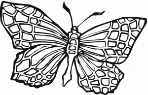 Ausmalbilder Für Kinder Schmetterling