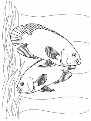 Ausmalbilder Fische Zum Ausdrucken