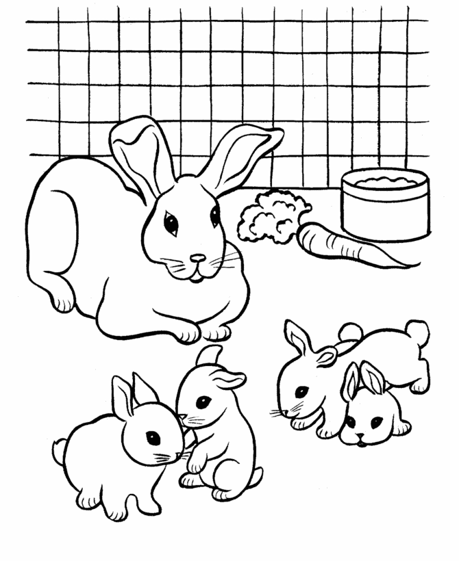 Ausmalbilder Kaninchen Stall