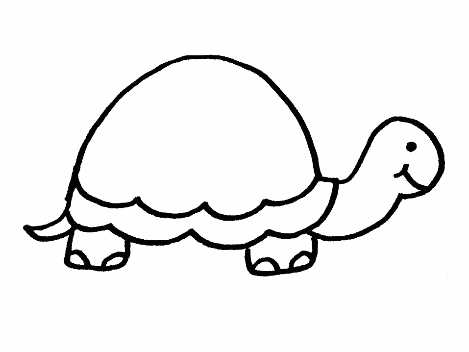 Ausmalbilder Kinder Schildkröte