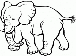 Ausmalbilder Mandala Für Erwachsene Elefant