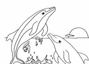 Ausmalbilder Meerjungfrau Delfin