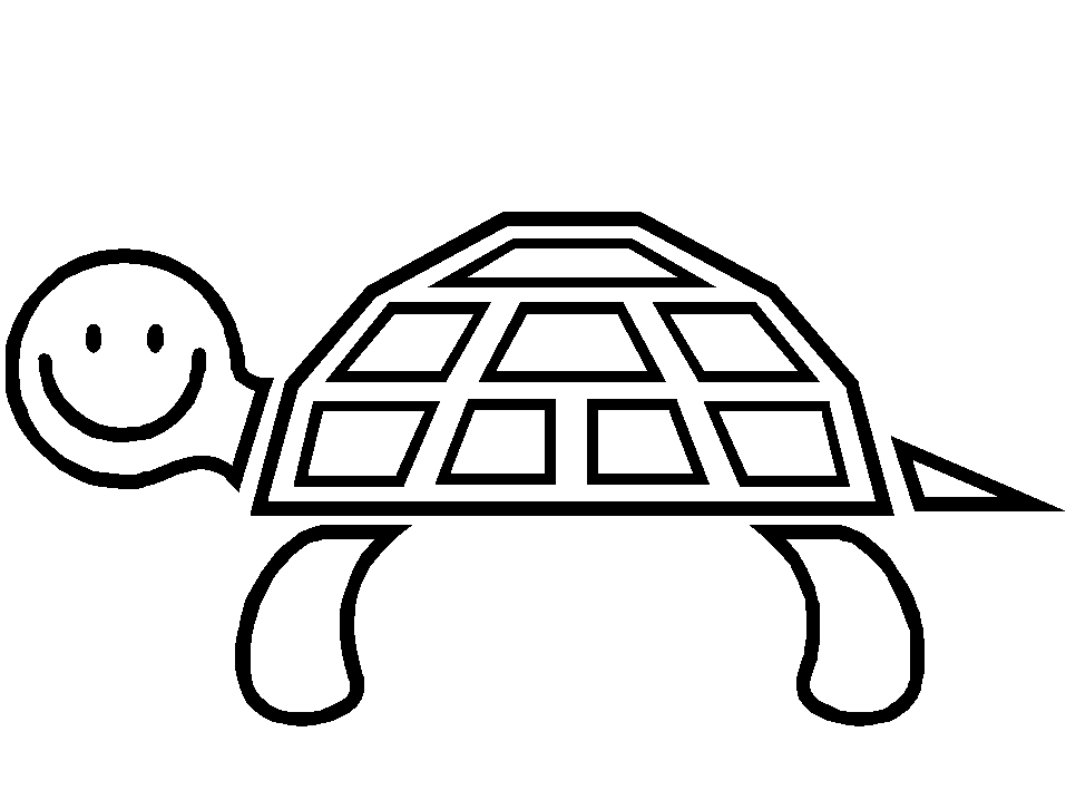 Ausmalbilder Schildkröte Ausdrucken