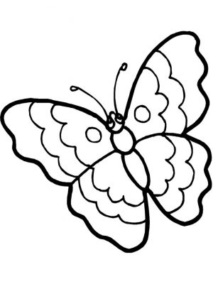Ausmalbilder Schmetterling Mit Blume