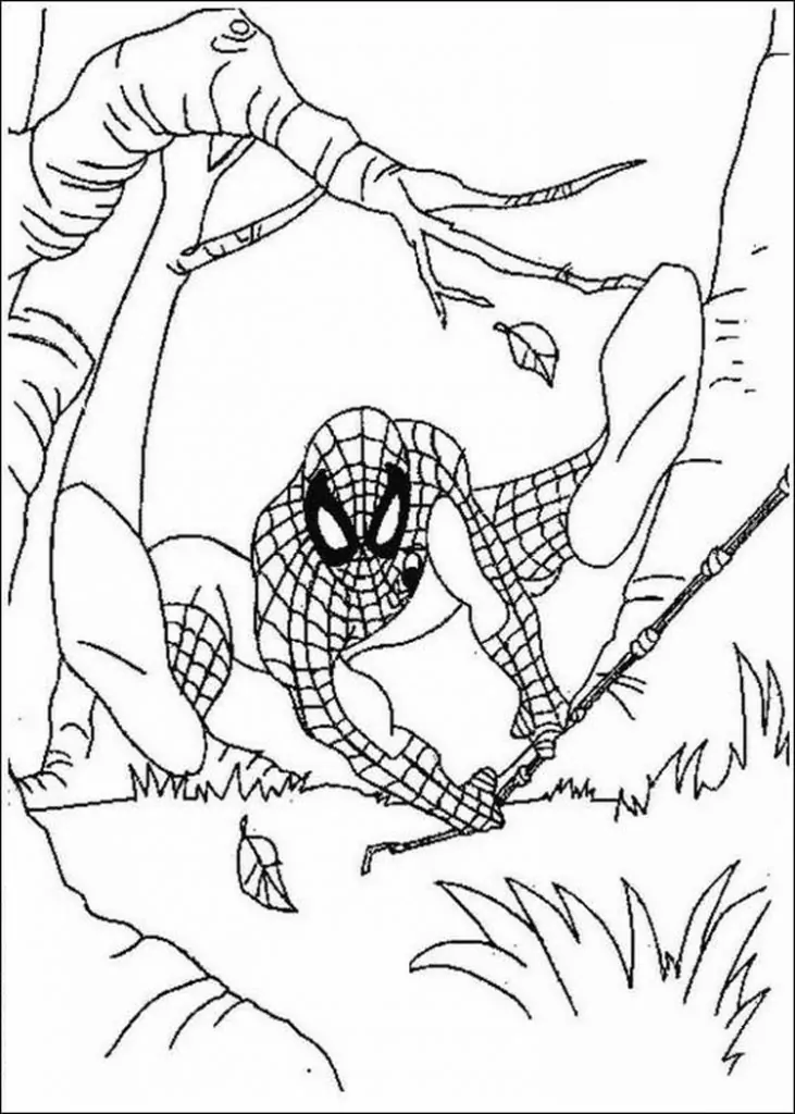 Ausmalbilder Spiderman Kostenlos Ausdrucken