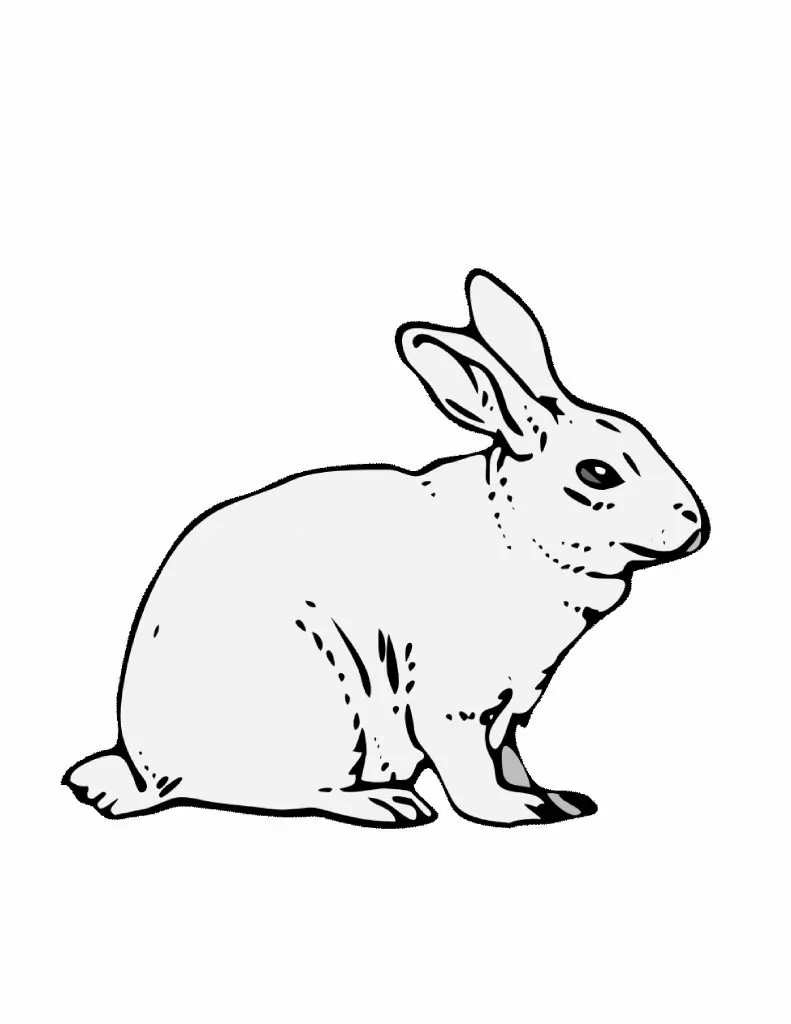 Ausmalbilder Zum Ausdrucken Kaninchen