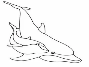 Delfin Ausmalbilder Zum Ausdrucken