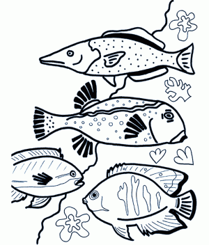 Fische Ausmalbilder Nemo