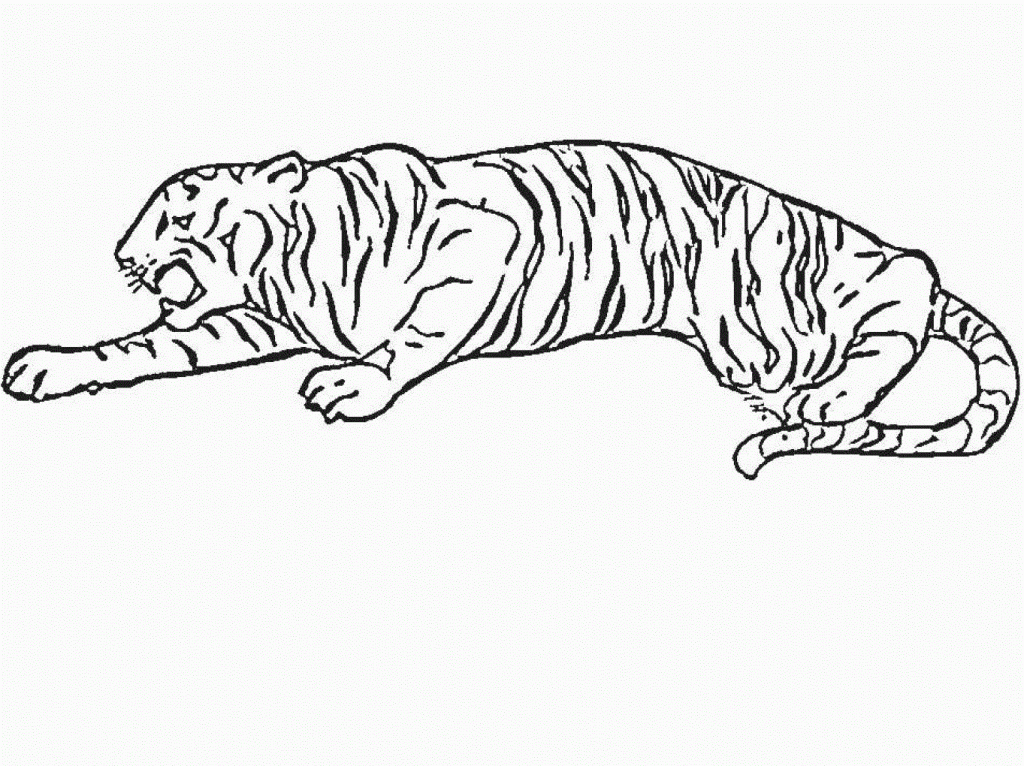 Kostenlose Ausmalbilder Tiger