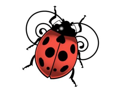 Ladybug Ausmalbilder