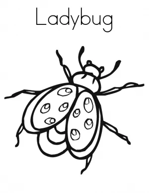 Ladybug Ausmalbilder Kostenlos