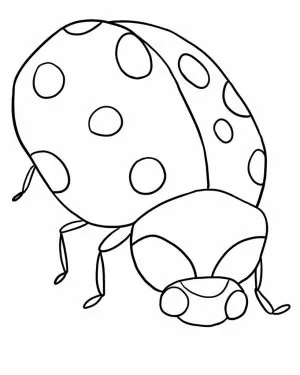 Ladybug Miraculous Ausmalbilder