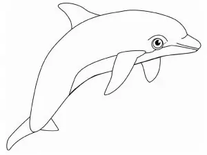 Meerjungfrau Mit Delfin Ausmalbilder