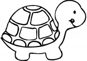 Schildkröte Ausmalbilder Zum Ausdrucken