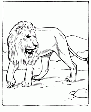 Schwierige Ausmalbilder Für Erwachsene Löwe