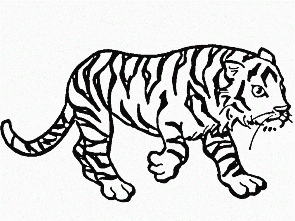 Tiger Ausmalbilder Zum Ausdrucken