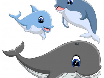 ausmalbilder delfin