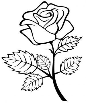 Ausmalbilder Blumenstrauß Rosen